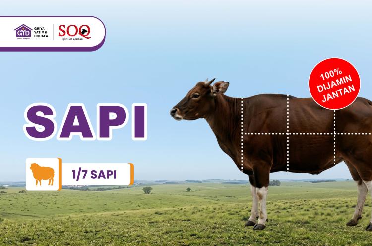 Gambar banner Spirit Qurban Patungan Sapi