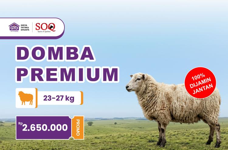 Gambar banner Spirit Qurban Domba Premium