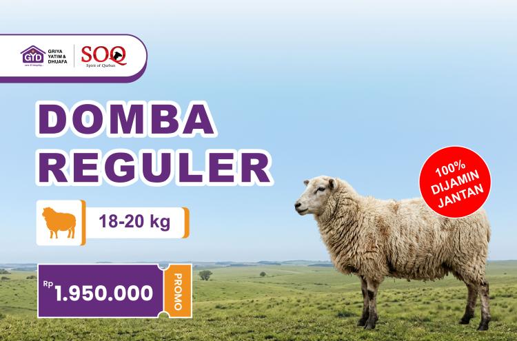 Gambar banner Spirit Qurban Domba Reguler