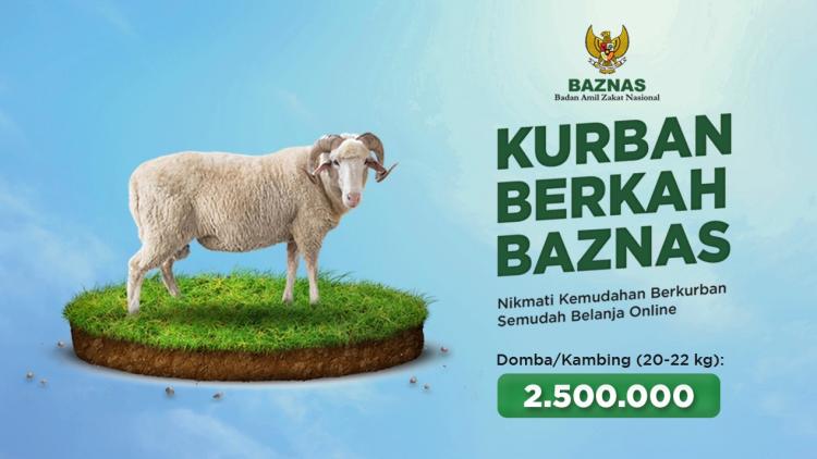 Gambar banner Kurban Domba-Kambing Standar