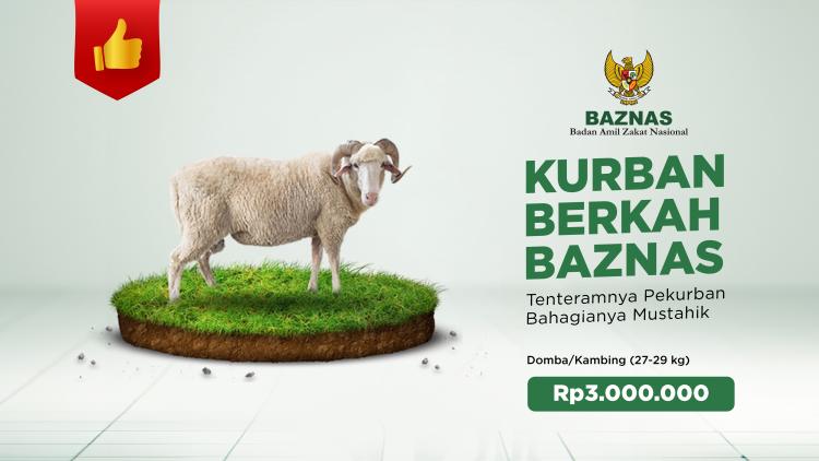 Gambar banner Kurban Domba-Kambing Premium Gambar banner Kurban Domba-Kambing Premium