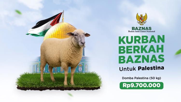 Gambar banner Kurban BAZNAS - Domba Palestina