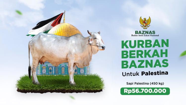 Gambar banner Kurban BAZNAS - sapi palestina