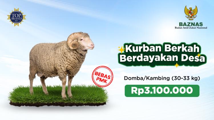 Banner program Kurban - Doka Premium