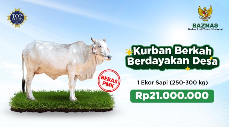 Gambar banner Kurban - 1 Ekor Sapi