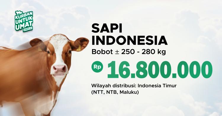 Banner program KURBAN SAPI INDONESIA