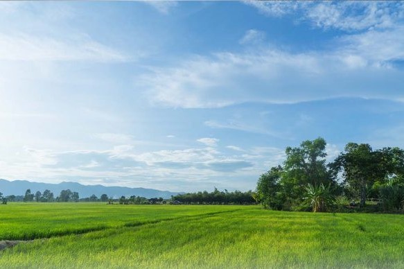 Gambar banner Wakaf Tanah Gambar banner Wakaf Tanah