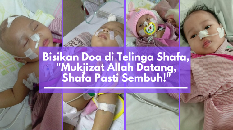 Gambar banner BANTU SHAFA SEMBUH DARI Penyakit Langka, HIPPERINSULINEMIA