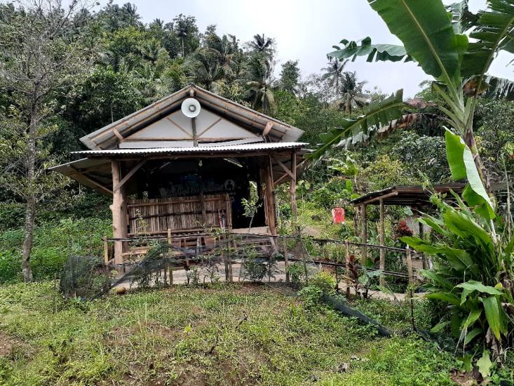 Banner program Masjid Kayu Di Kebumen Hampir Roboh,  Yuk Bantu Renovasi