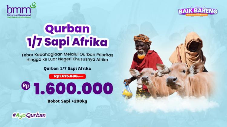 Banner program Qurban Sepertujuh Sapi Afrika