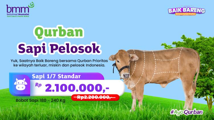 Banner program Qurban Sepertujuh Sapi Hidup Pelosok