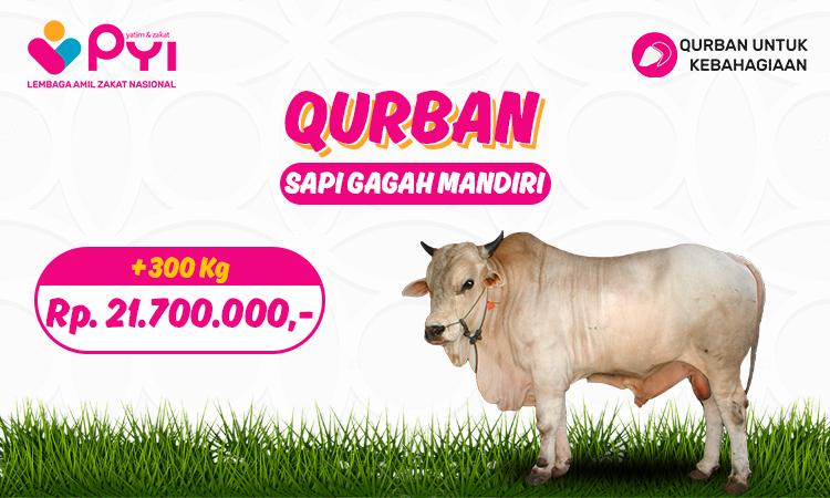 Banner program Qurban Kebahagiaan Paket  Sapi Gagah Mandiri