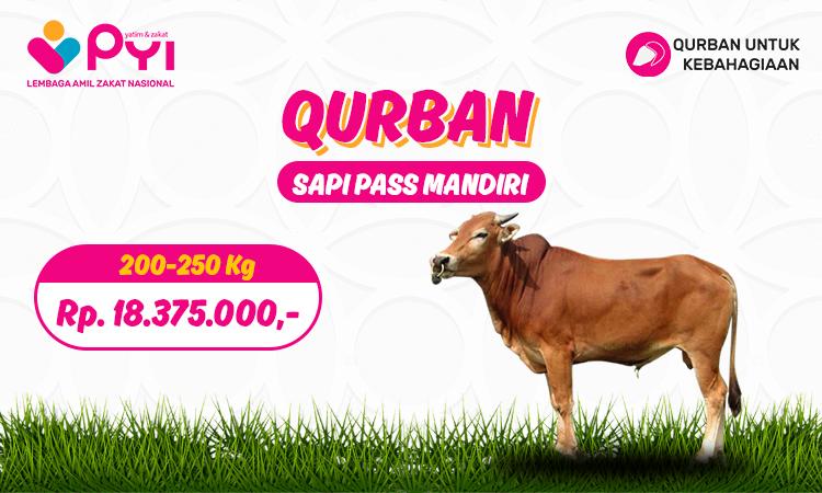 Banner program Qurban Kebahagiaan Paket Pas Sapi Mandiri