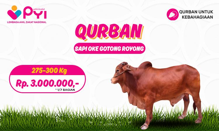 Banner program Qurban Kebahagiaan Paket Oke Sapi Gotong-royong
