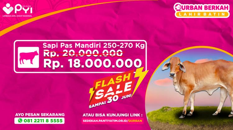 Banner program Qurban Berkah Paket Sapi Pas Mandiri