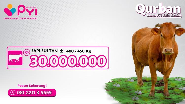 Banner program Qurban Sapi Berkah Paket Sultan