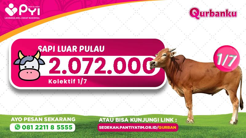 Banner program Qurban Sapi Luar Pulau Patungan 1-7