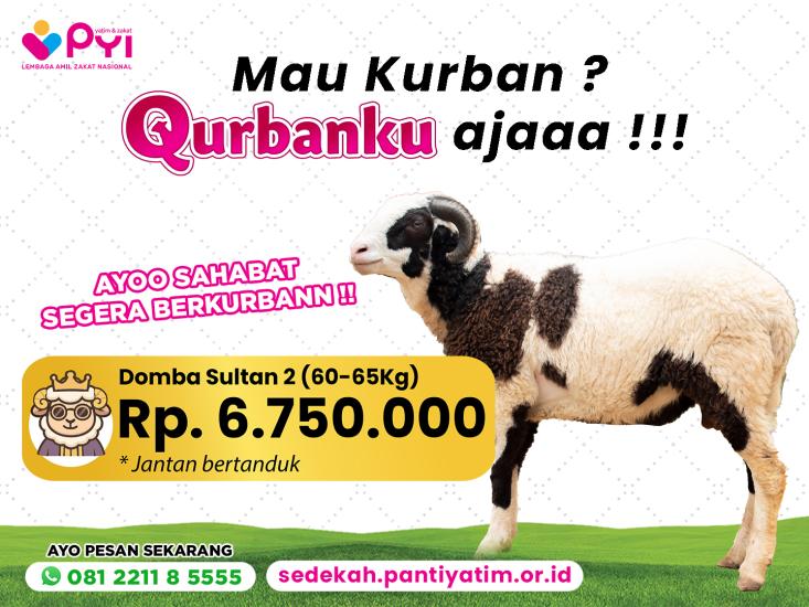 Gambar banner Qurban Domba Sultan 2  Premium  Berkah