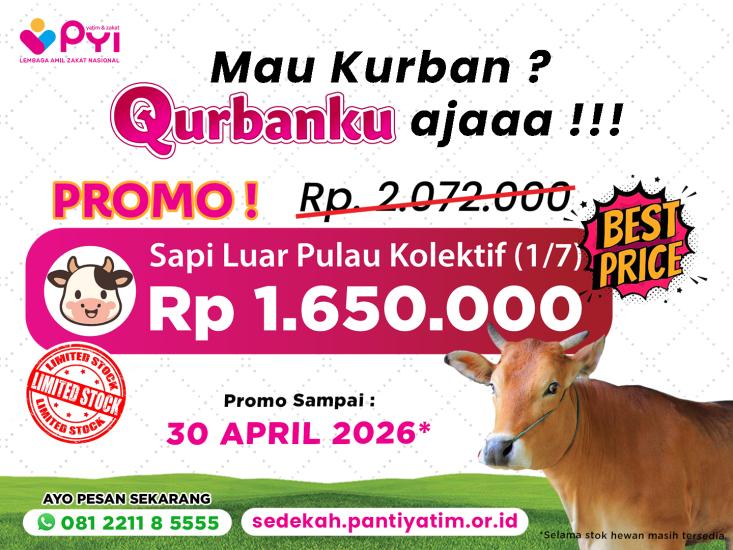 Gambar banner PROMO Qurban Sapi Luar Pulau  Patungan Hemat