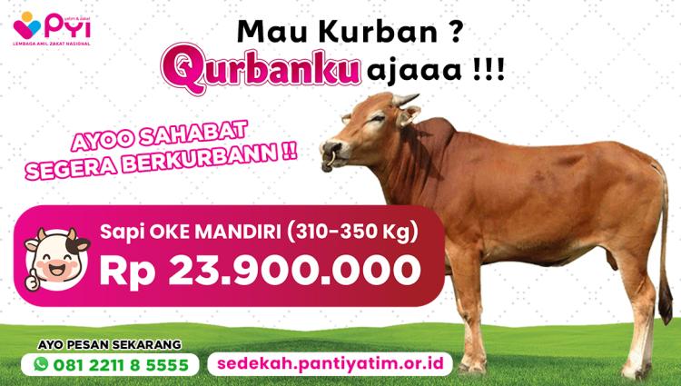 Banner program Qurban Sapi Oke Mandiri  Praktis  Berkah