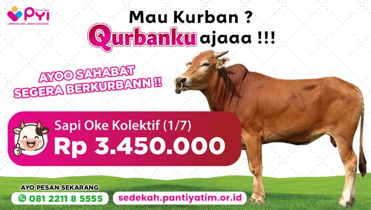 Banner program Qurban Sapi Oke Kolektif Berbagi Keberkahan