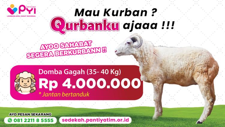 Banner program Qurban Domba Paket Gagah