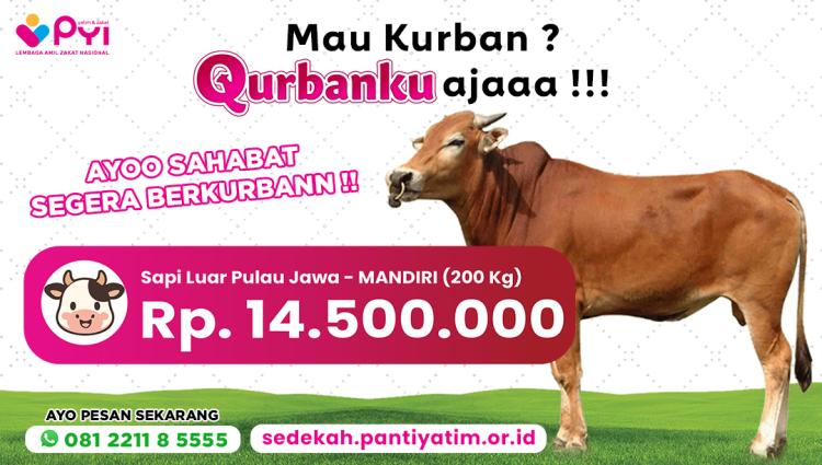 Banner program Qurban Sapi Mandiri Manfaat Meluas ke Luar Pulau Jawa