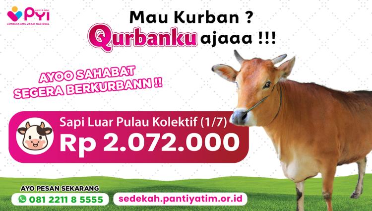Banner program Qurban Sapi Lebih Ringan Patungan Mulai Harga Terjangkau