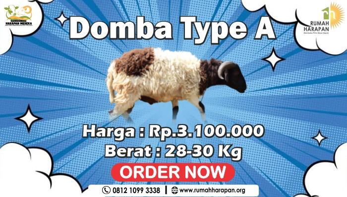 Gambar banner Domba Paket A