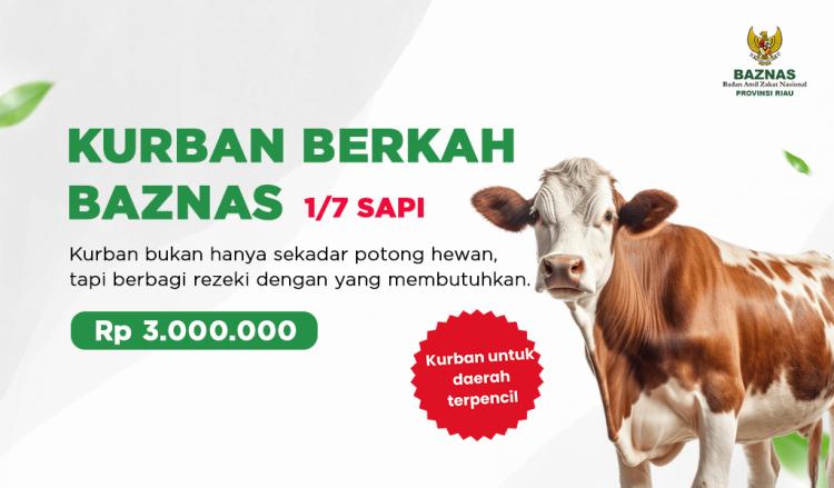 Banner program KURBAN BERKAH BAZNAS RIAU - PATUNGAN SAPI