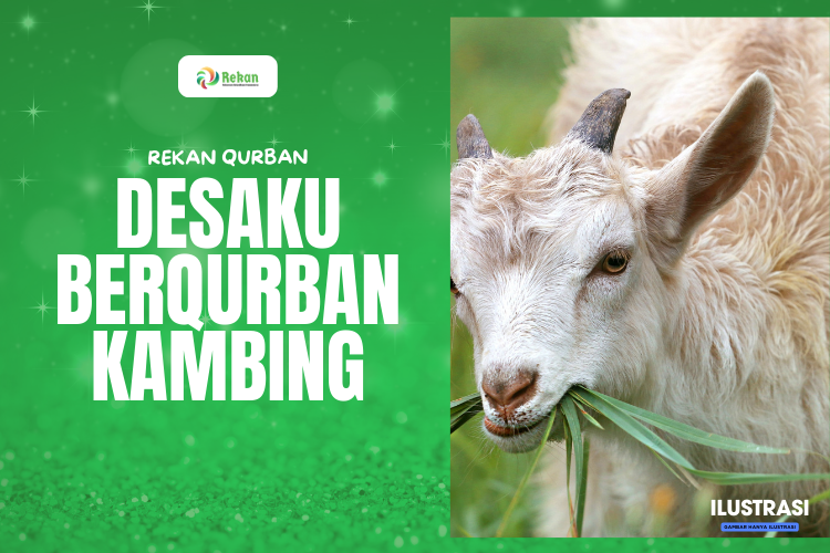 Gambar banner Qurban Kambing di Desa Gambar banner Qurban Kambing di Desa