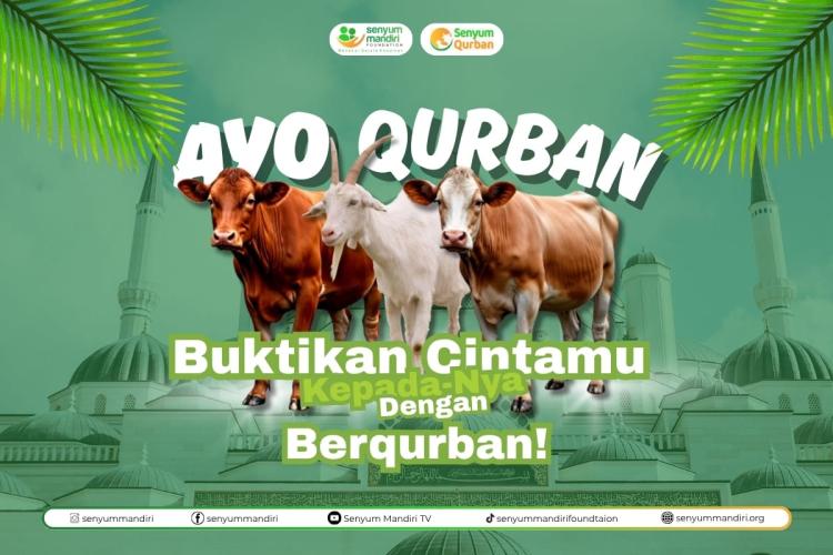 Banner program Qurban 1446 H 