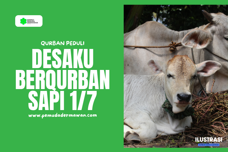 Banner program Desaku Berqurban Sapi 1 per 7