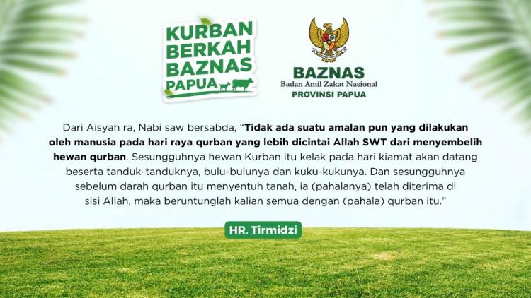 Gambar banner Kurban Berkah BAZNAS Papua - Patungan Sapi