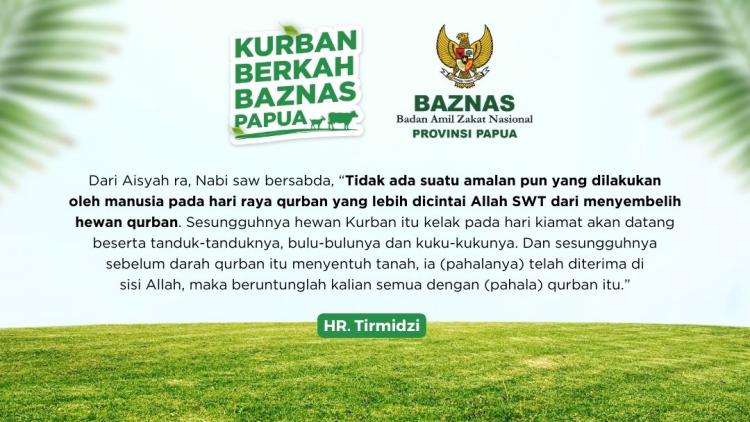 Gambar banner Kurban Berkah BAZNAS Papua - Kambing