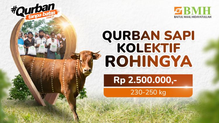 Gambar banner Qurban Sapi Kolektif di Rohingya Gambar banner Qurban Sapi Kolektif di Rohingya
