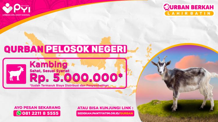 Banner program Qurban Kambing Berkah Pelosok Negeri