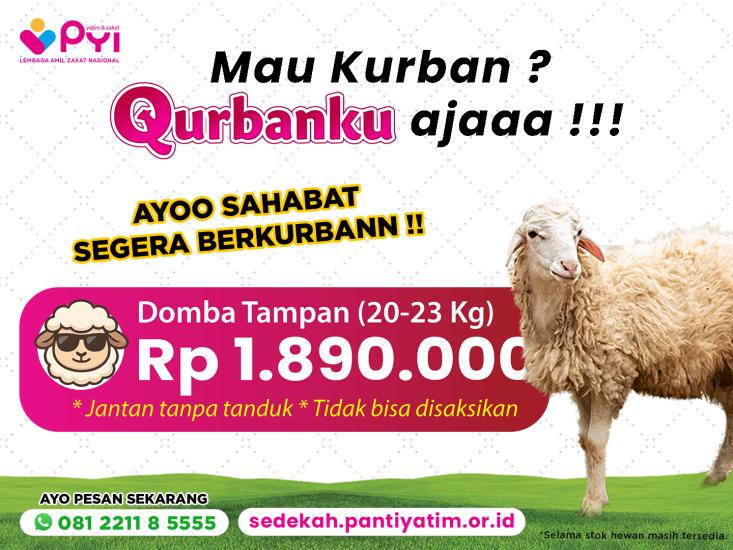 Gambar banner Paket Tampan Qurban Mudah  Berkah