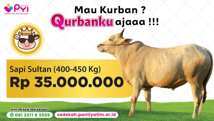 Banner program Qurban Sapi Sultan Kemuliaan Ibadah Terbaik