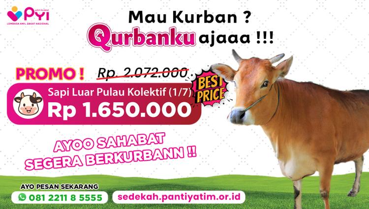 Gambar banner Qurban Sapi Luar Pulau Jawa  Harga Hemat, Pahala Hebat