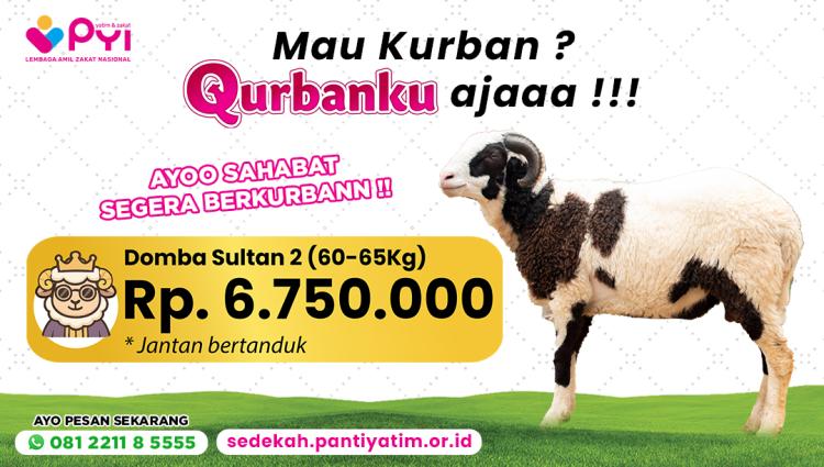 Banner program Qurban Domba Sultan 2 Premium Berkah