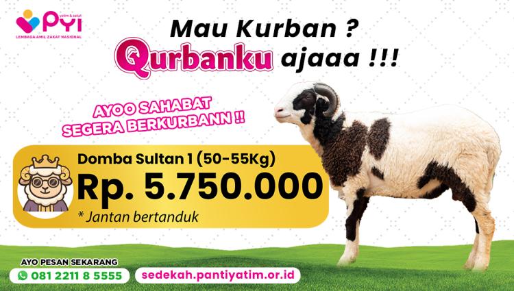 Banner program Qurban Domba Paket Sultan 1