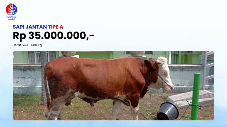 Gambar banner Qurban 1446 H 