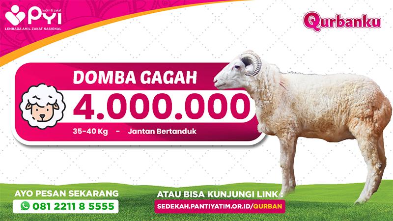 Banner program Qurban Domba Gagah