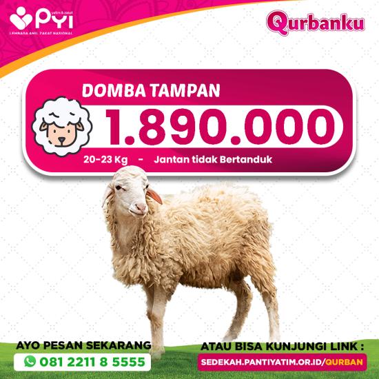Banner program Qurban Domba Tampan