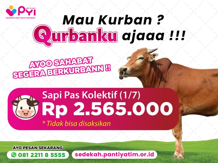 Gambar banner Qurban Sapi Paket Pas Gotong-royong