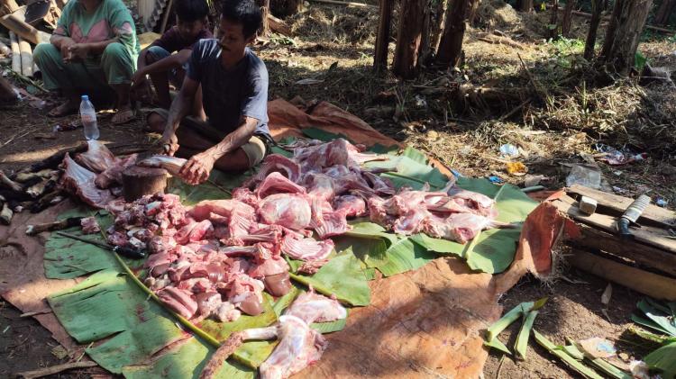 Gambar banner Qurban Berkah untuk Pesantren  dan Muallaf Pedalaman