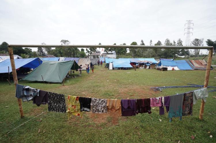 Gambar banner Miris, Ribuan Warga Mamuju Tinggal di Tenda Tak Layak