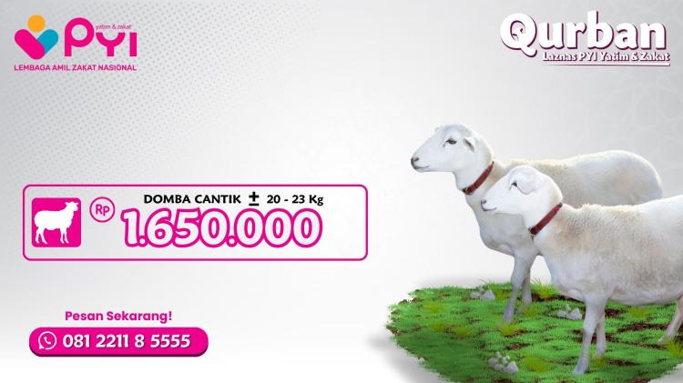 Banner program Qurban Domba Paket Cantik