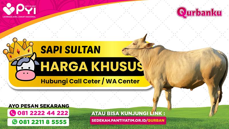Banner program Qurban Sapi Berkah Paket Sultan